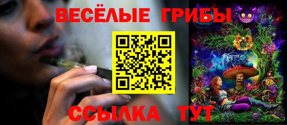 Галлюциногенные грибы MAGIC MUSHROOMS Электросталь
