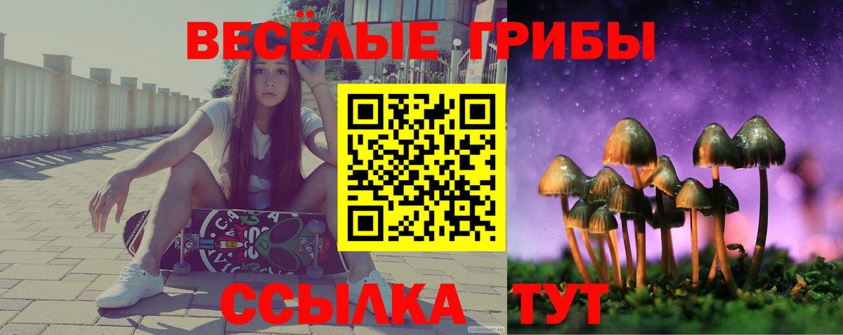 Псилоцибиновые грибы ЛСД  Галлюциногенные грибы прущие грибы  Электросталь  Вход с VPN 